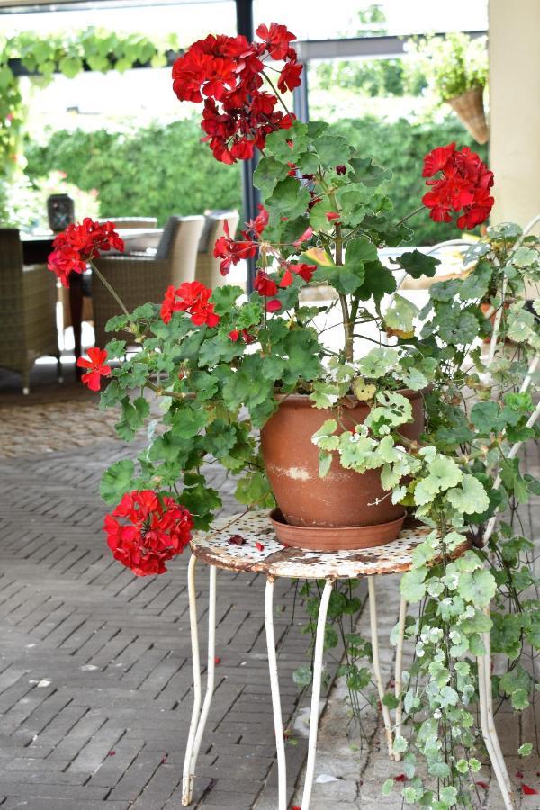 Bed and Breakfast De Oude Limonadefabriek Beek  Zewnętrze zdjęcie